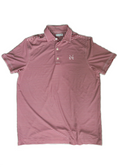Load image into Gallery viewer, Garnet Striped Polo